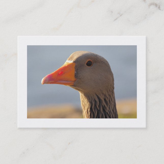 Inquisitive Goose (gränsad) Visitkort (Framsida)
