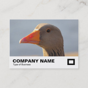 Inquisitive Goose Visitkort