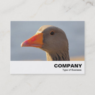 Inquisitive Goose Visitkort