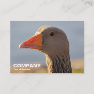 Inquisitive Greylag Goose Visitkort
