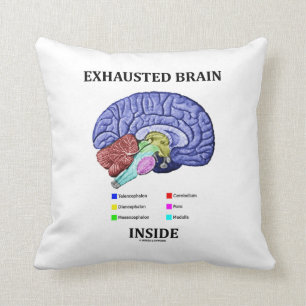 Inre Anatomical hjärnhumor för utmattad hjärna Kudde