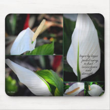 Inre fred och styrka