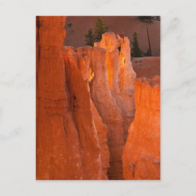 Inre glöd vykort (Framsida)