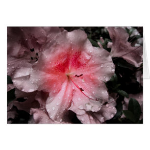 Inre glödeskort hälsningskort