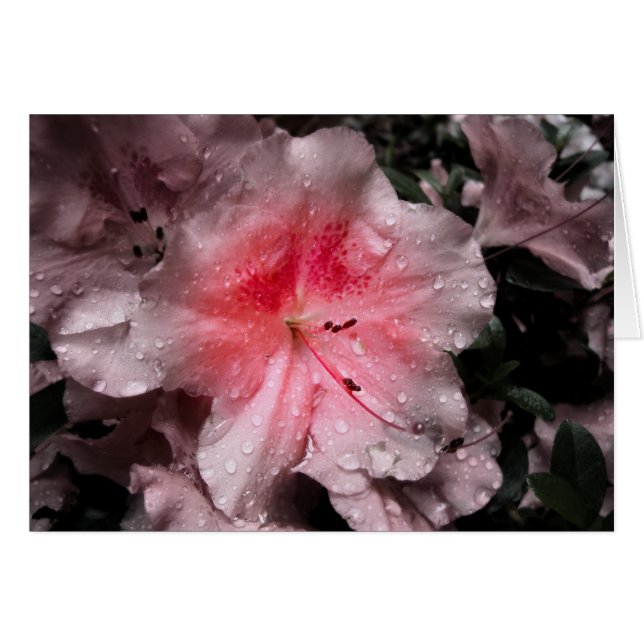 Inre glödeskort hälsningskort (Framsidan Horizontal)