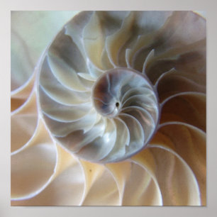 Inre Nautilus Poster