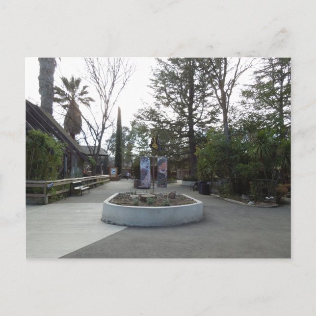 Inresa till Charles Paddock Zoo Vykort (Framsida)