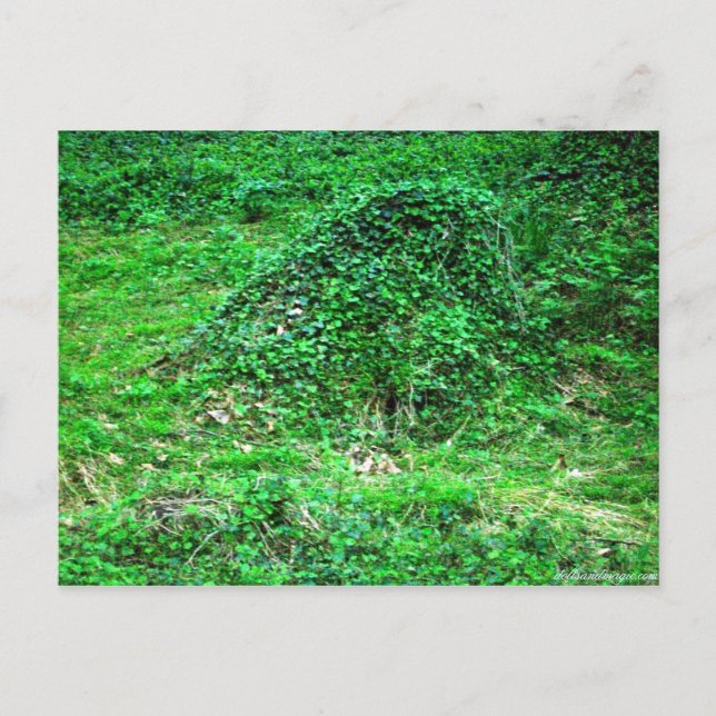 Inresa till Fe I Vykort (Framsida)