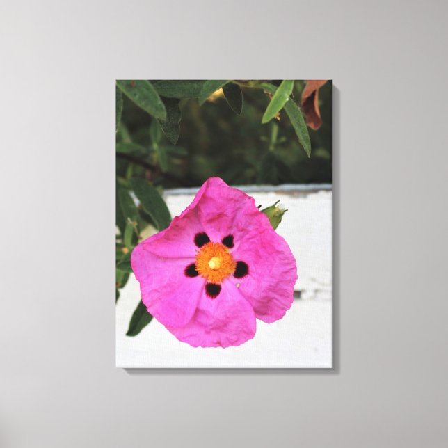 Inriktat i Kanvastrycket Blommigt Canvastryck (Framsida)