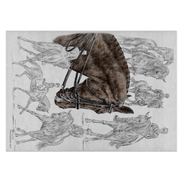 Insamlade Dressage Horses FEI (Framsidan)