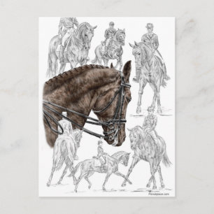 Insamlade Dressage Horses FEI Vykort