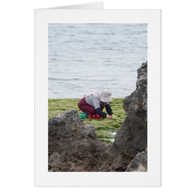 Insamlaren Hälsningskort (Framsidan)