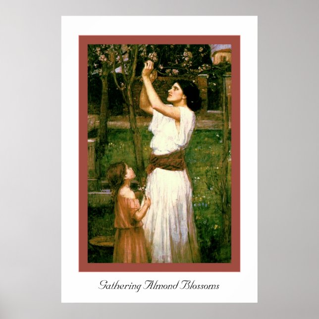 Insamling av Almond Blommars Poster (Framsidan)