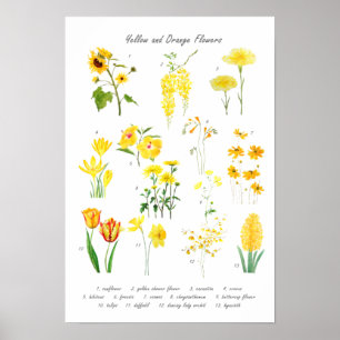Insamling av gult och orange av blommor poster