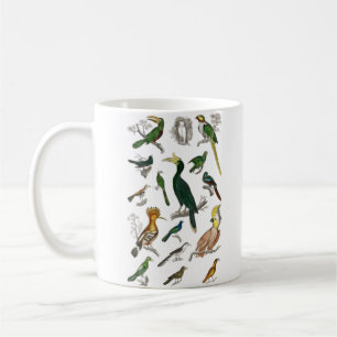 Insamling av olika fåglar kaffemugg