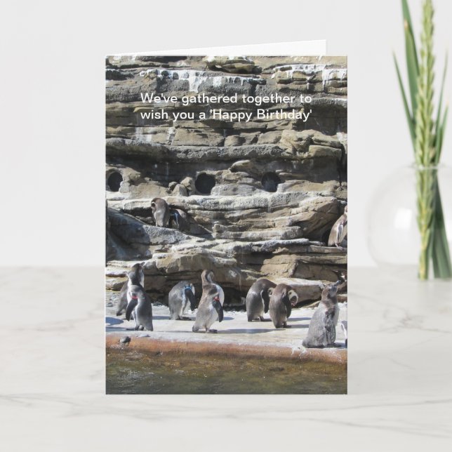 Insamling av Penguins Kort (Framsida)