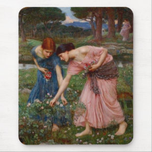 Insamling av Rosenknoppar Musmatta