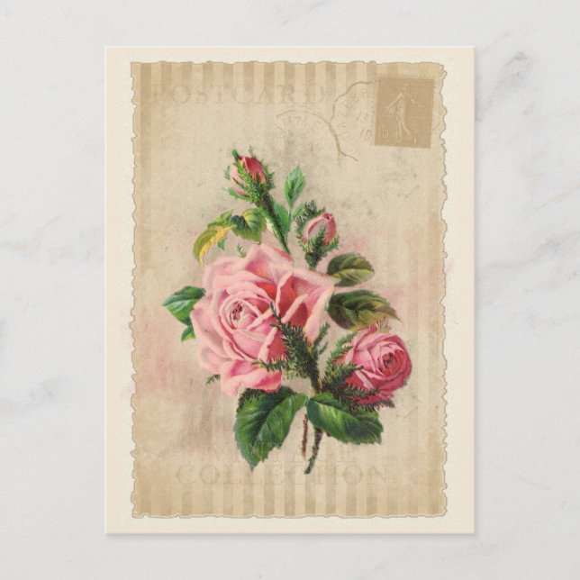 Insamling av vykort - Vol.1 - vykort (Framsida)