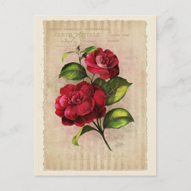 Insamling av vykort - Vol.3 - vykort (Framsida)