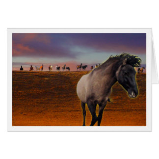 Insamling Hälsningskort