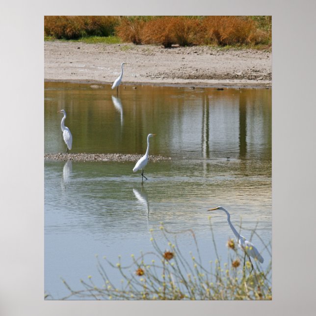 Insamling Poster (Framsidan)