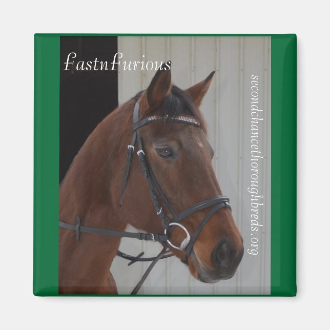 Insamlingsbar Magnet-serie - FastnFurious Magnet (Framsidan)