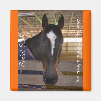 Insamlingsbar Magnet-serie - Klubben Social Magnet