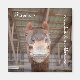 Insamlingsbar Magnet-serie - Navedano Magnet