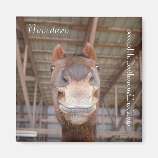 Insamlingsbar Magnet-serie - Navedano Magnet (Framsidan)