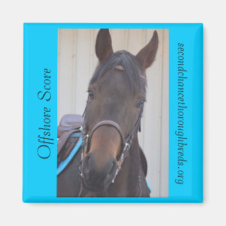 Insamlingsbar Magnet-serie - offshore-poäng Magnet