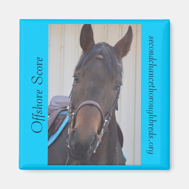 Insamlingsbar Magnet-serie - offshore-poäng Magnet (Framsidan)