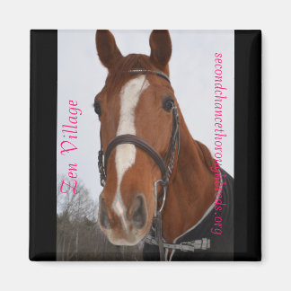 Insamlingsbar Magnet-serie - Zen Village Magnet