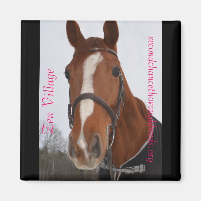 Insamlingsbar Magnet-serie - Zen Village Magnet (Framsidan)