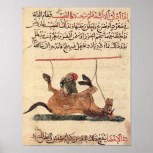 Insats på häst, illustration poster