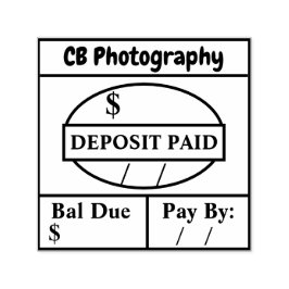 Insättning Betalat/Personlig för förfallen självko Självfärgande Stämpel