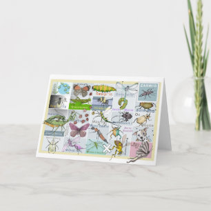 Insekt Alphabet Kort