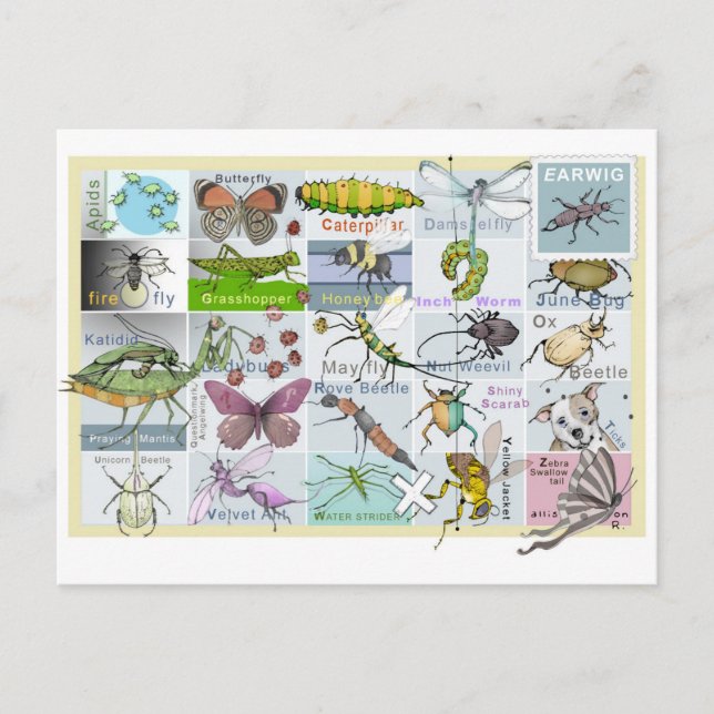 Insekt Alphabet Vykort (Framsida)