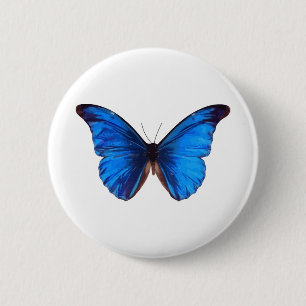 Insekt av djurfjäril, typ Morpho Blue Knapp