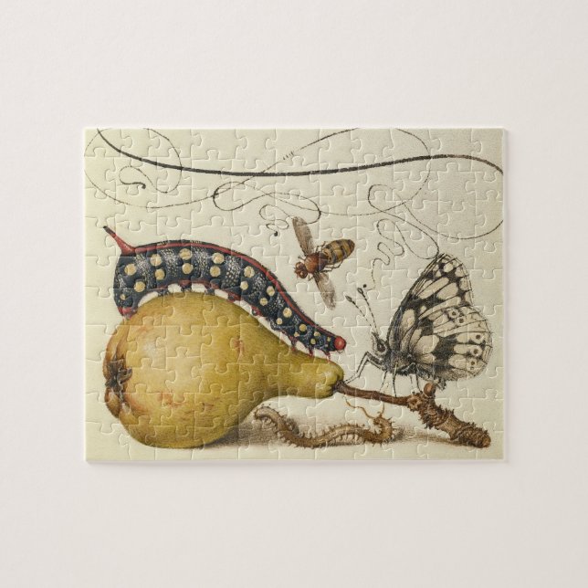 Insekt av fjärilsfrukt pussel (Horisontell)