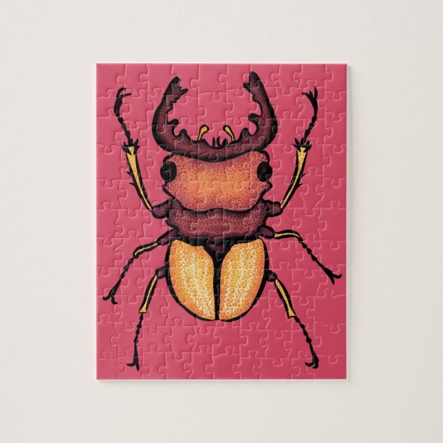 Insekt Beetle Rosa Entomologi Pussel (Vertikal)