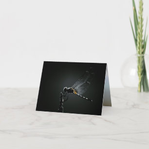 Insekt - Dragonfly Vingar Kort