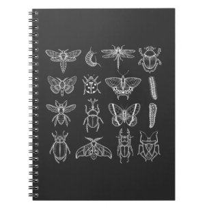 Insekt Entomolog Kryp Catcher entomologi Anteckningsbok