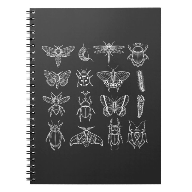 Insekt Entomolog Kryp Catcher entomologi Anteckningsbok (Framsidan)