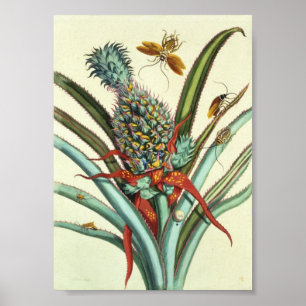 Insekt Generation Plattor 1 Poster