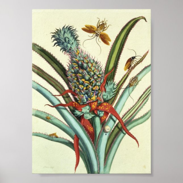 Insekt Generation Plattor 1 Poster (Framsidan)