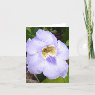 Insekt i blommigt av bosättning v2 kort