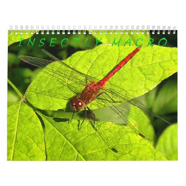 Insekt - makrofotokalender kalender (Omslag)
