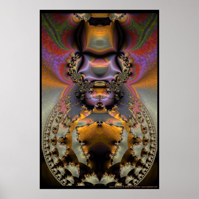 Insekt Mandala Poster (Framsidan)