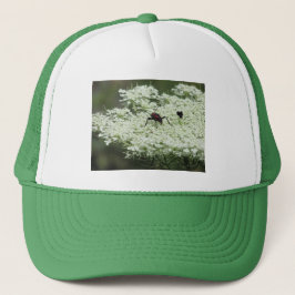Insekt om Elderblomma Keps