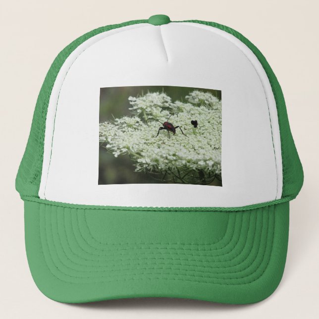 Insekt om Elderblomma Keps (Framsida)